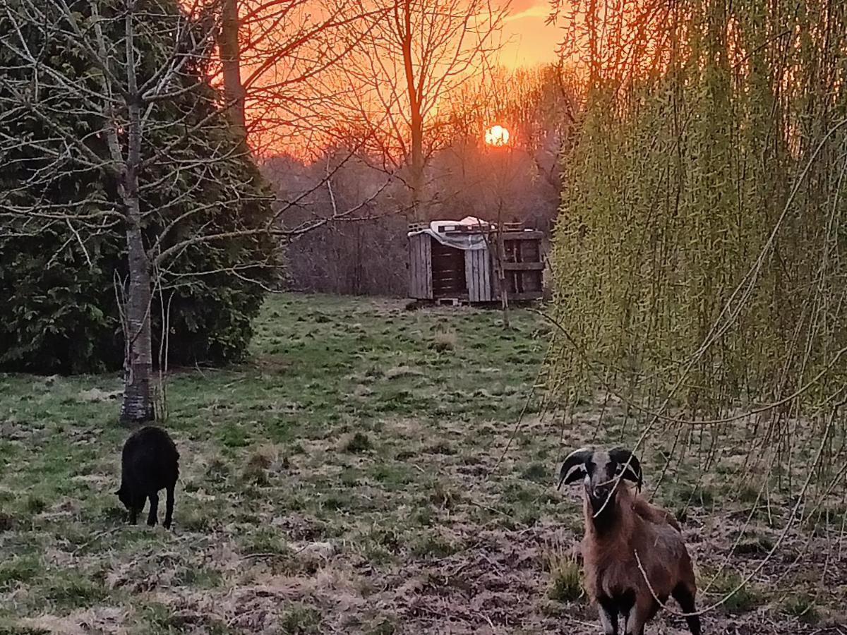 Les Chambres Du Vert Galant "Coucher De Soleil" Verlinghem Dış mekan fotoğraf
